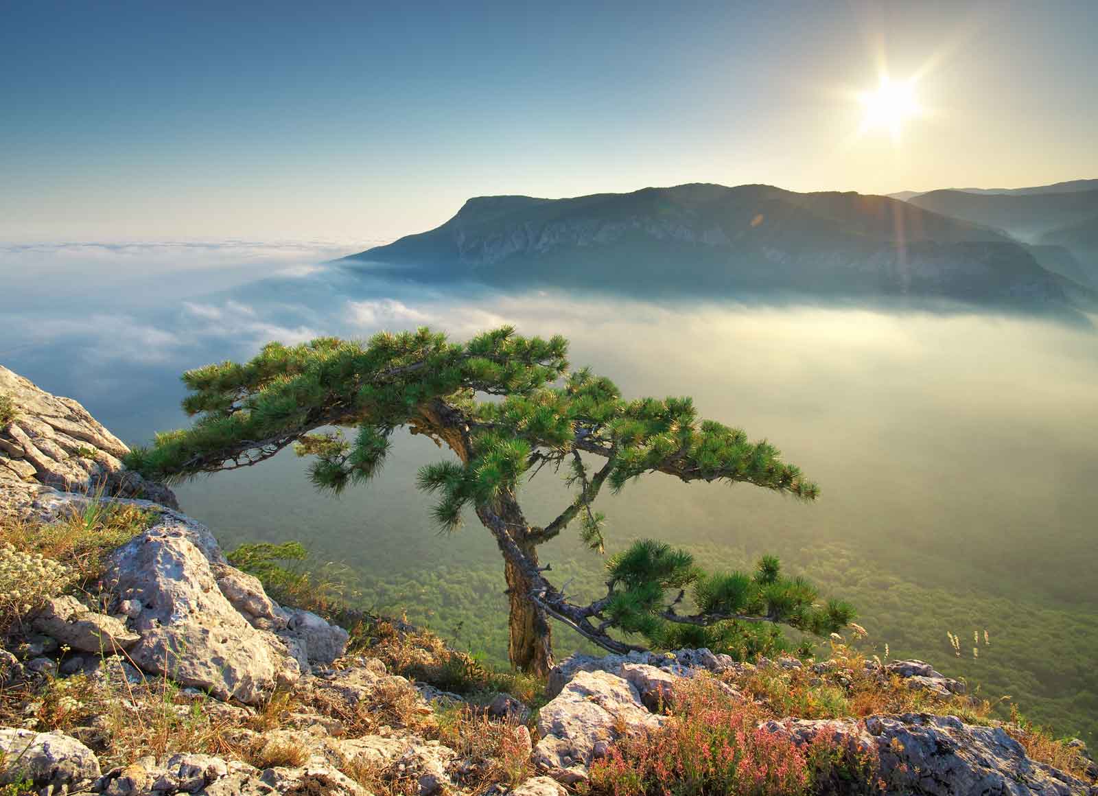 passza.com - your travel destinations around the world start here!